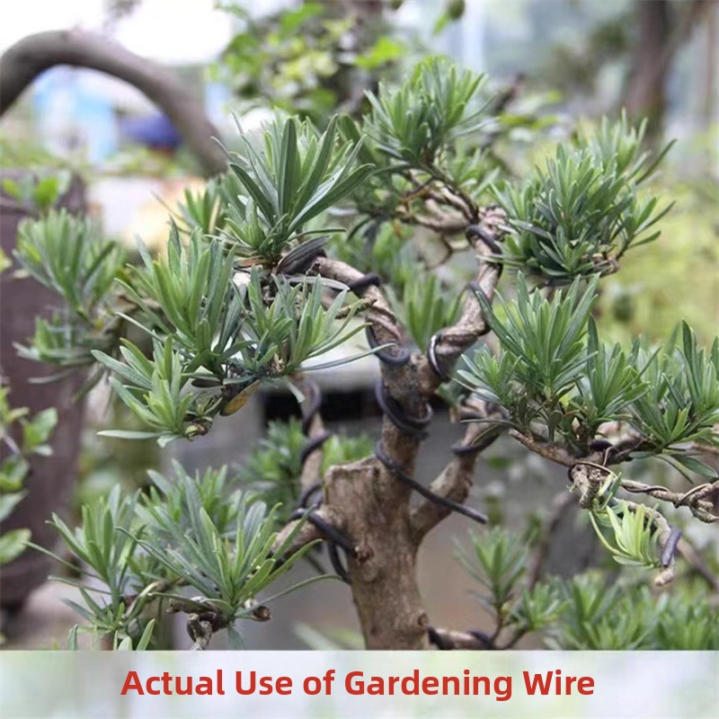 Fili per Bonsai da 1,5 mm in A - Bonsai Garden Plants recensione e prezzo
