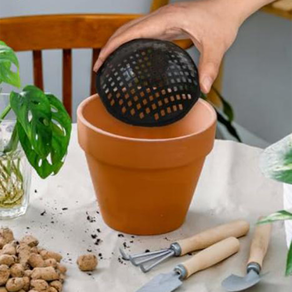 20/30 Pezzi Rete a Maglia per  - Bonsai Gardening recensione e prezzo