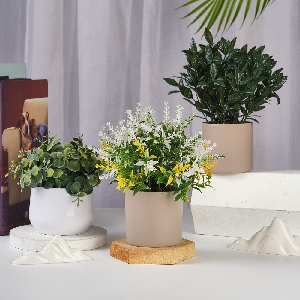 Pianta Artificiale in Plastica - Bonsai Garden Kit recensione e prezzo