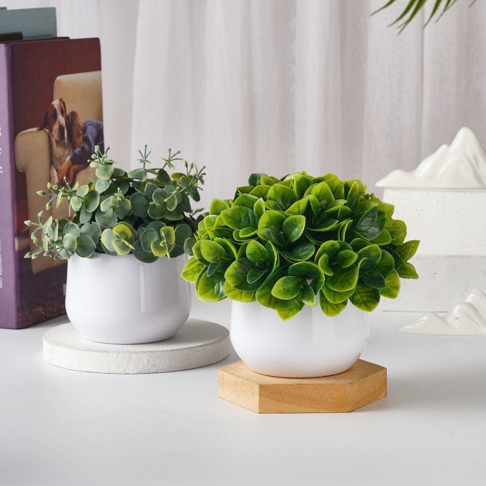 Pianta Artificiale in Plastica - Bonsai Garden Kit recensione e prezzo