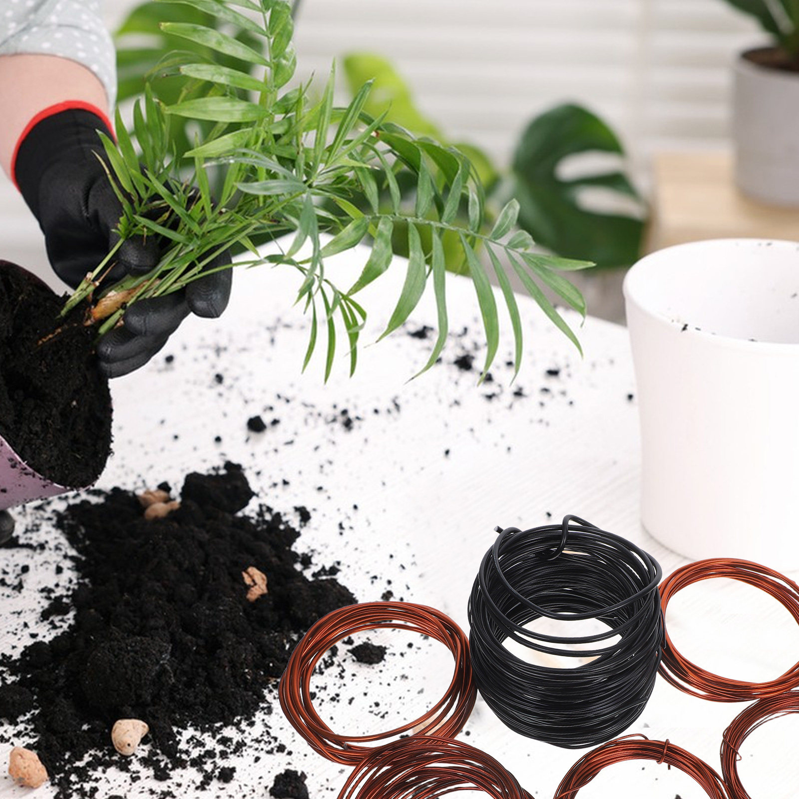 10 Pezzi Filo di Alluminio Fle - Bonsai Gardening recensione e prezzo