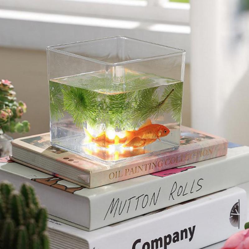 Vasi per piante in acrilico tr - Bonsai Garden Nursery recensione e prezzo