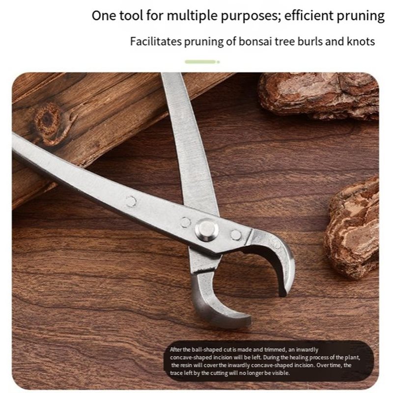 Set di Attrezzi per Bonsai ABG - Root Hook Tool recensione e prezzo