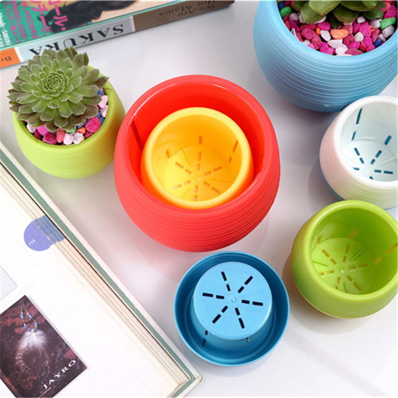 Mini vasi da fiori in plastica - Bonsai Garden Nursery recensione e prezzo