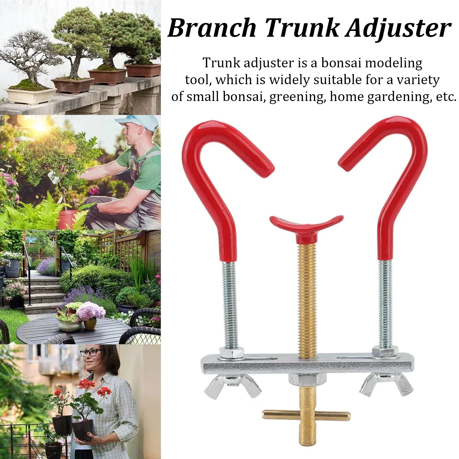 Kit di strumenti per piegare i - Bonsai Garden Kit recensione e prezzo
