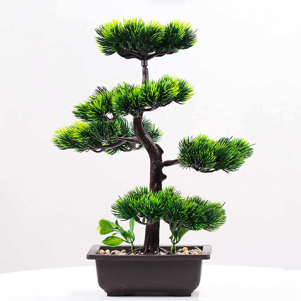 Piante artificiali Bellezza Pi - Bonsai Garden Kit recensione e prezzo