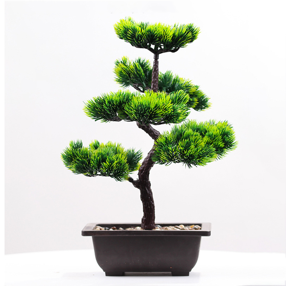 Piante artificiali Bellezza Pi - Bonsai Garden Kit recensione e prezzo