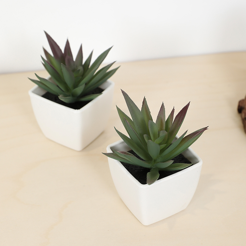 Mini tazza di fata artificiale - Bonsai Garden Kit recensione e prezzo