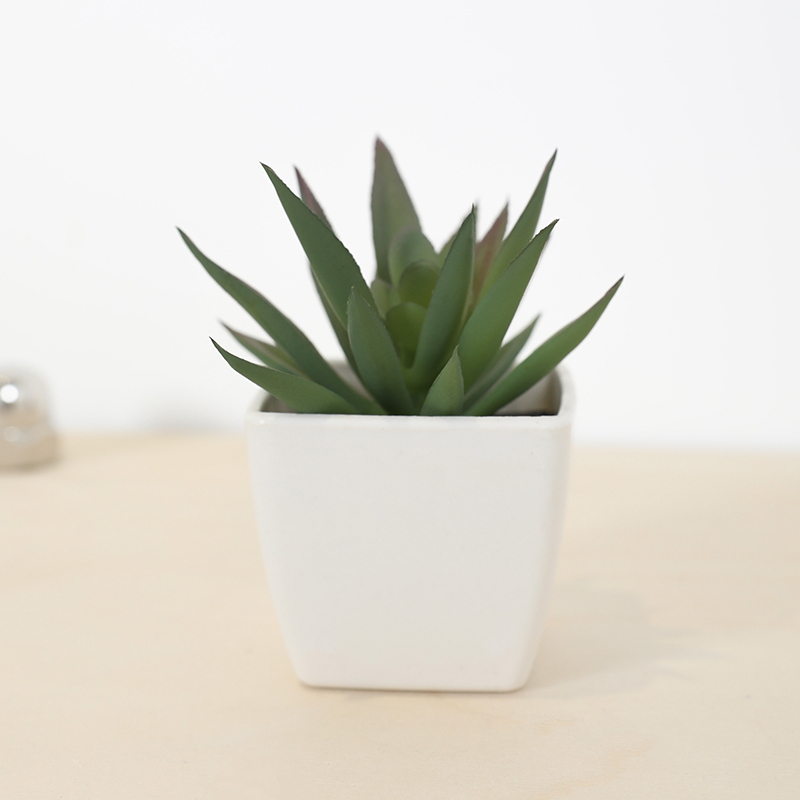 Mini tazza di fata artificiale - Bonsai Garden Kit recensione e prezzo