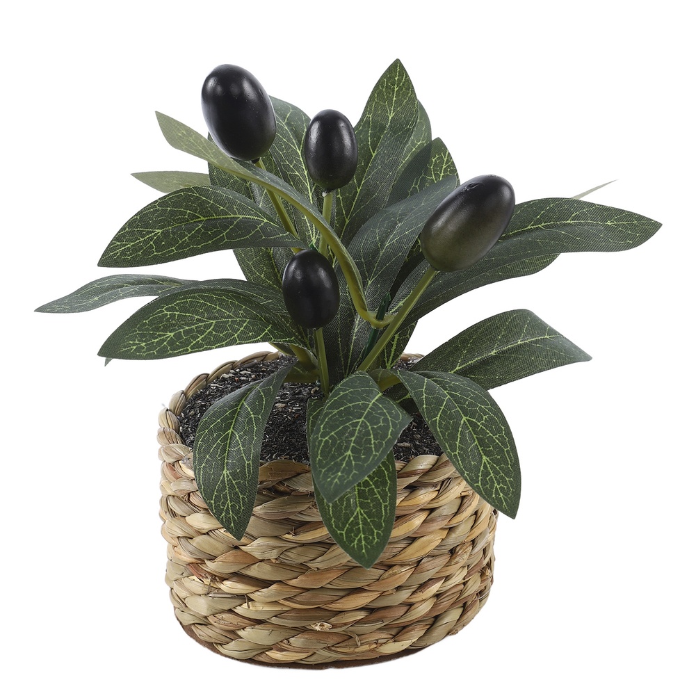Piante Artificiali, Albero di  - Bonsai Garden Kit recensione e prezzo