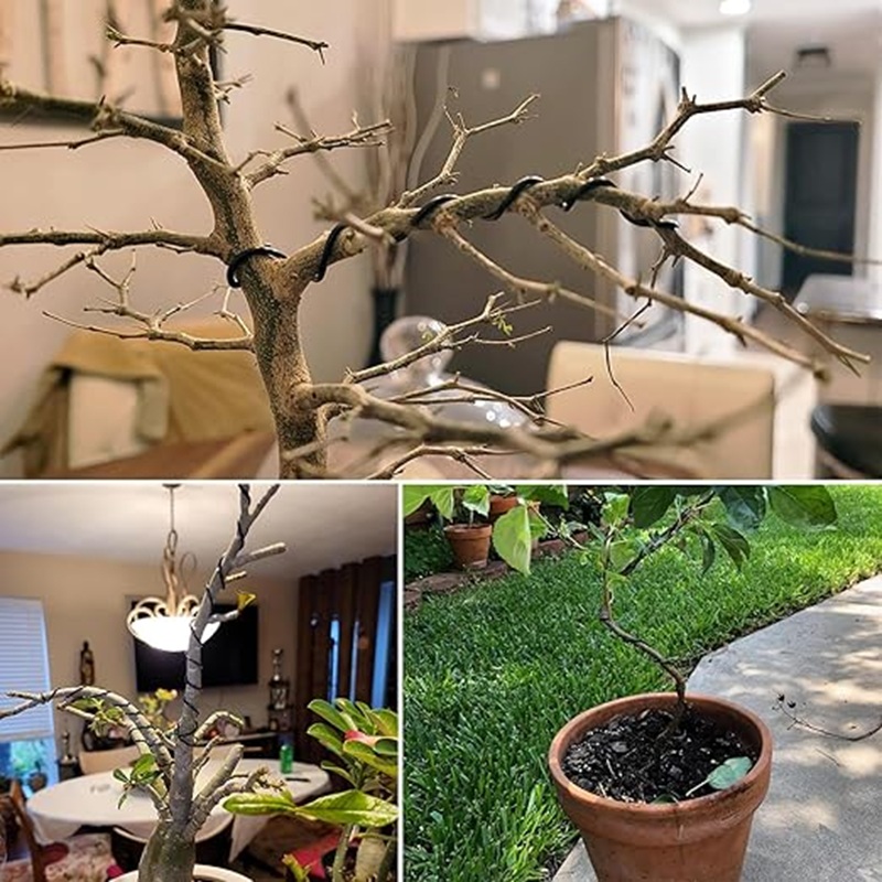 Filo per Bonsai in Alluminio N - Bonsai Wire Aluminum recensione e prezzo