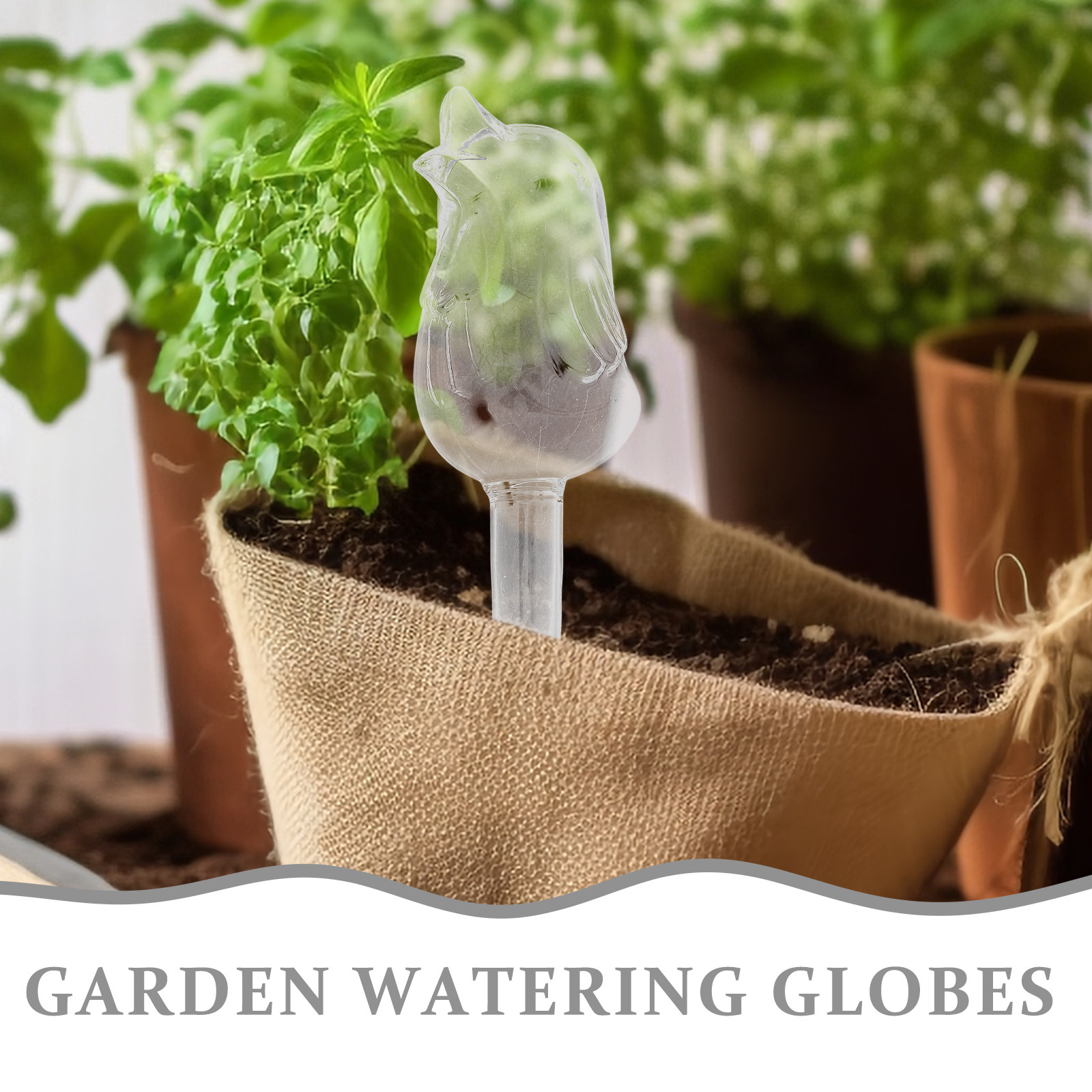 Dispositivo Automatico di Irri - Bonsai Garden Plants recensione e prezzo