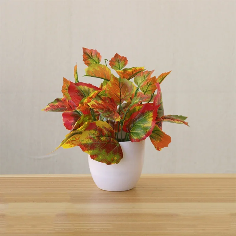 Piante artificiali Bonsai Pian - Bonsai Garden Kit recensione e prezzo