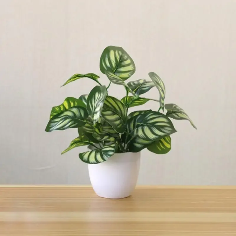 Piante artificiali Bonsai Pian - Bonsai Garden Kit recensione e prezzo