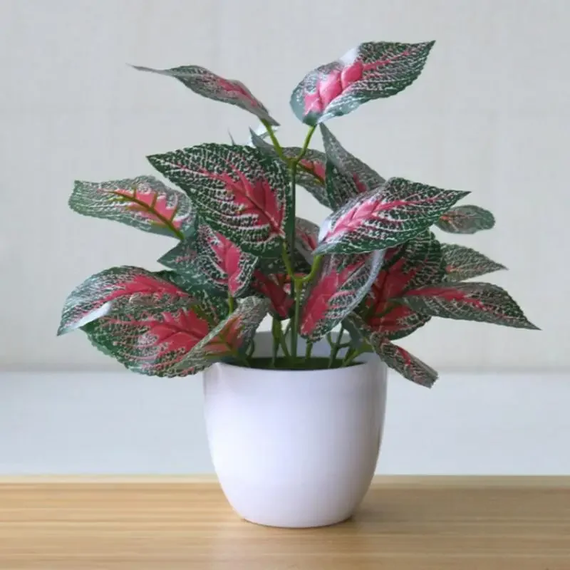 Piante artificiali Bonsai Pian - Bonsai Garden Kit recensione e prezzo