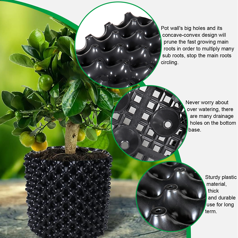 Strumento per il trapianto di  - Bonsai Garden Nursery recensione e prezzo