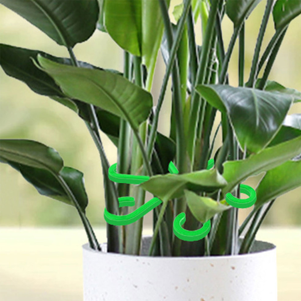 12 Pezzi Clip di Supporto per  - Bonsai Garden Plants recensione e prezzo