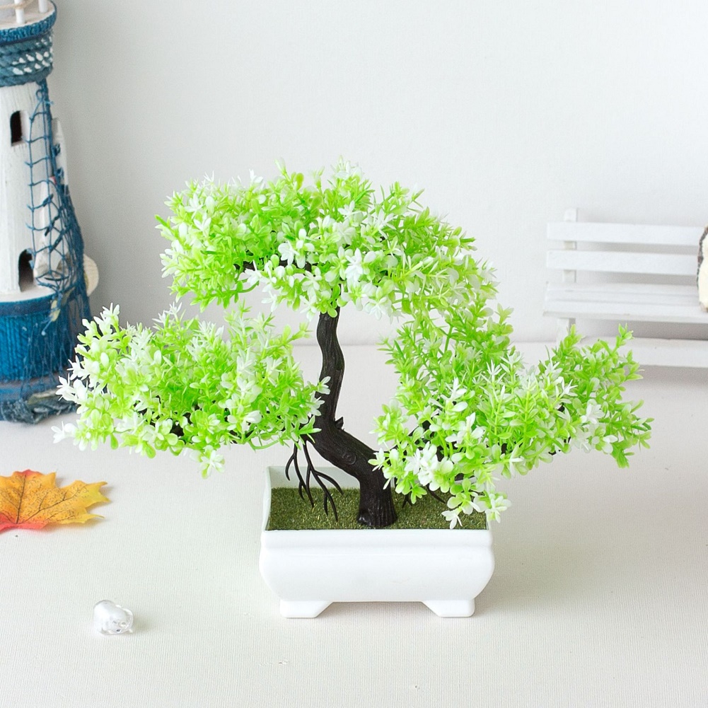 Piante artificiali Bonsai in v - Bonsai Garden Kit recensione e prezzo