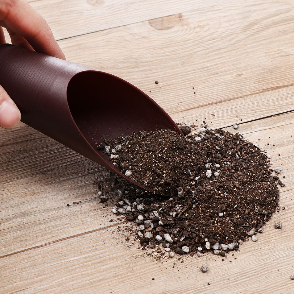1 pz plastica terreno pala taz - Bonsai Garden Plants recensione e prezzo