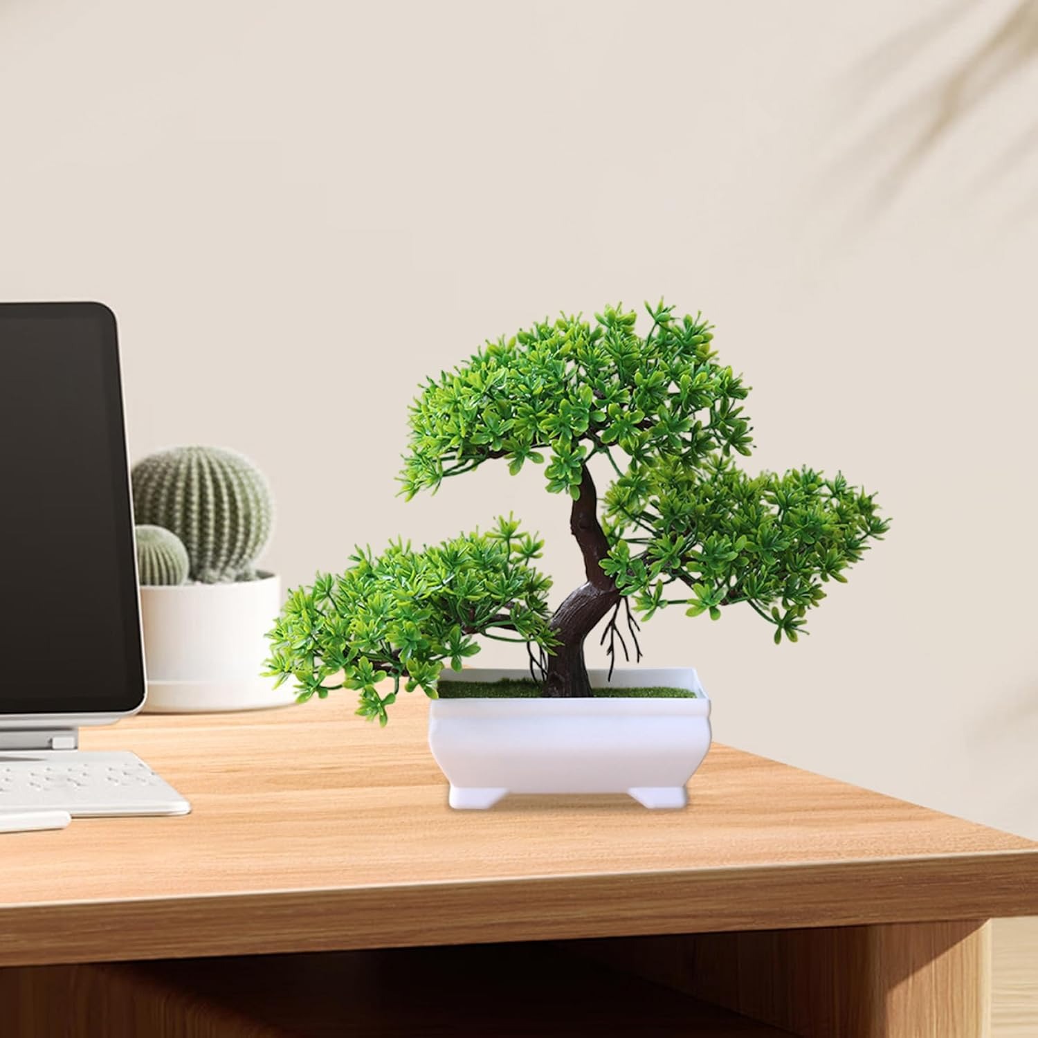 1/2 Pezzi Albero Bonsai Artifi - Bonsai Garden Kit recensione e prezzo